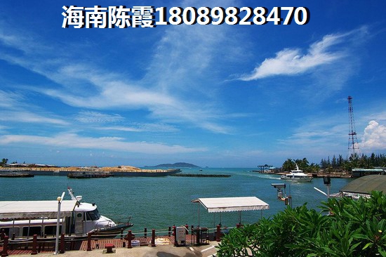 屯昌绿地房子抢到即赚到